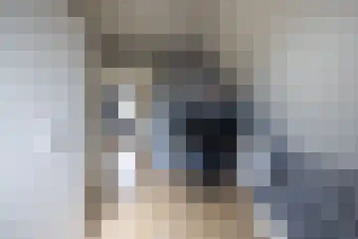 Kievit 23 Grootegast thumbnail 26