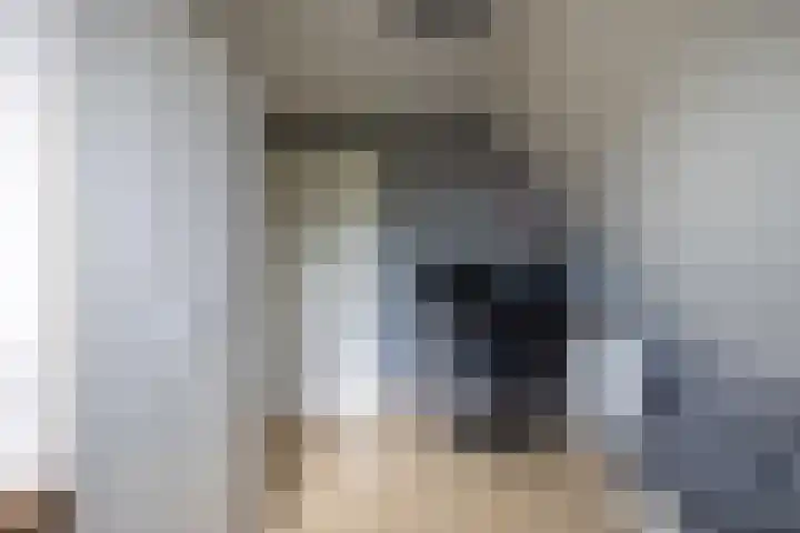 Kievit 23 Grootegast thumbnail 29