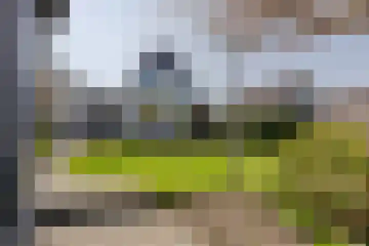 Kievit 23 Grootegast thumbnail 37