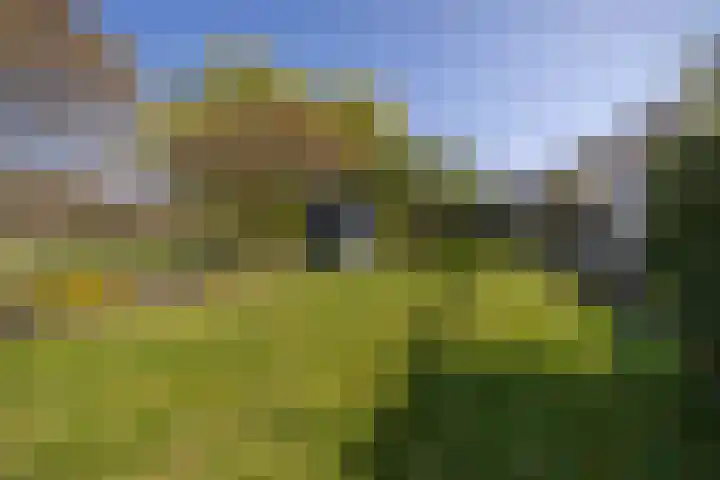Kievit 23 Grootegast thumbnail 38
