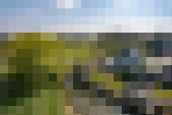 Kievit 23 Grootegast thumbnail 4