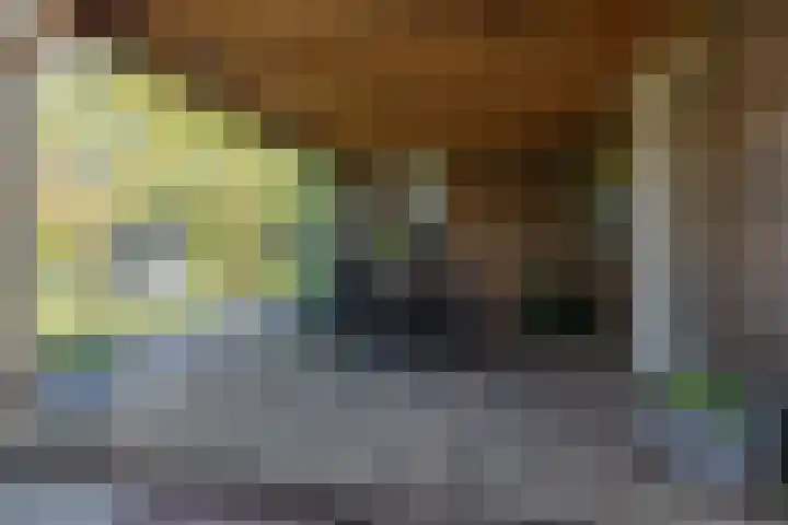Kievit 23 Grootegast thumbnail 41