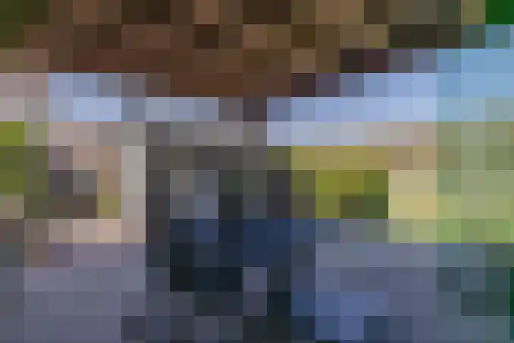Kievit 23 Grootegast thumbnail 42