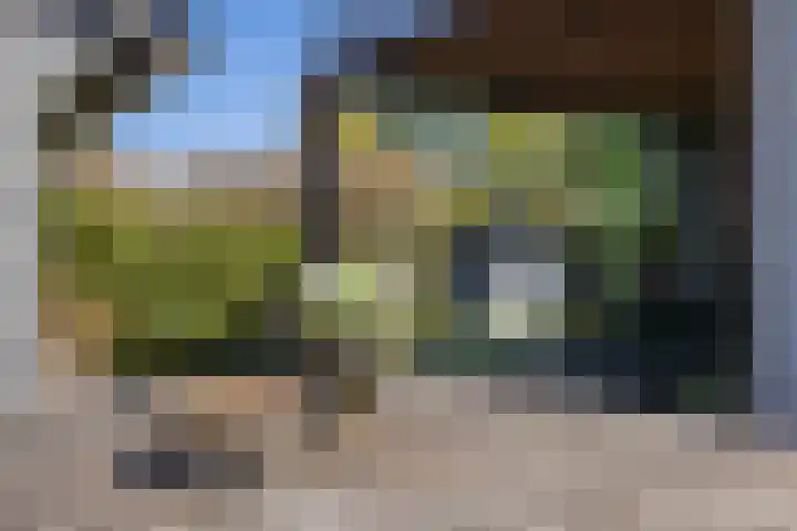 Kievit 23 Grootegast thumbnail 43