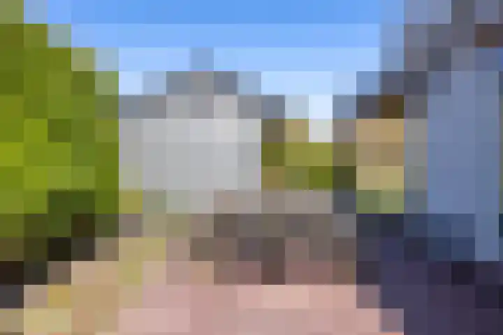 Kievit 23 Grootegast thumbnail 44