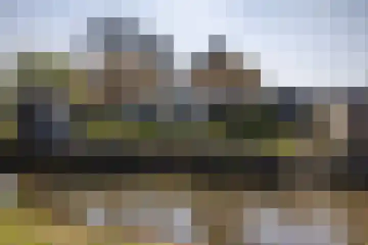 Kievit 23 Grootegast thumbnail 47