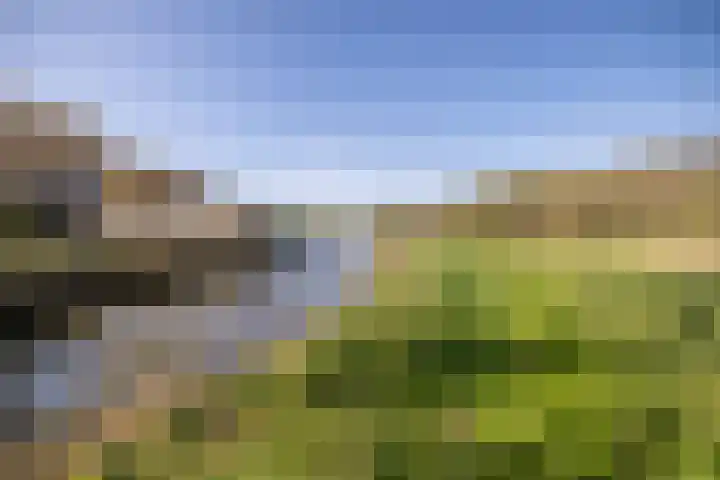 Kievit 23 Grootegast thumbnail 48