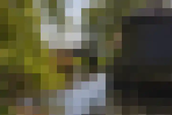 Kievit 23 Grootegast thumbnail 49
