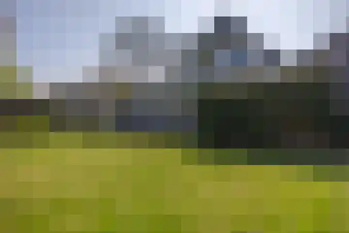 Kievit 23 Grootegast thumbnail 5