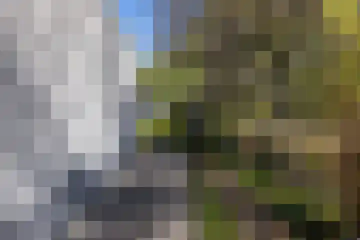 Kievit 23 Grootegast thumbnail 50