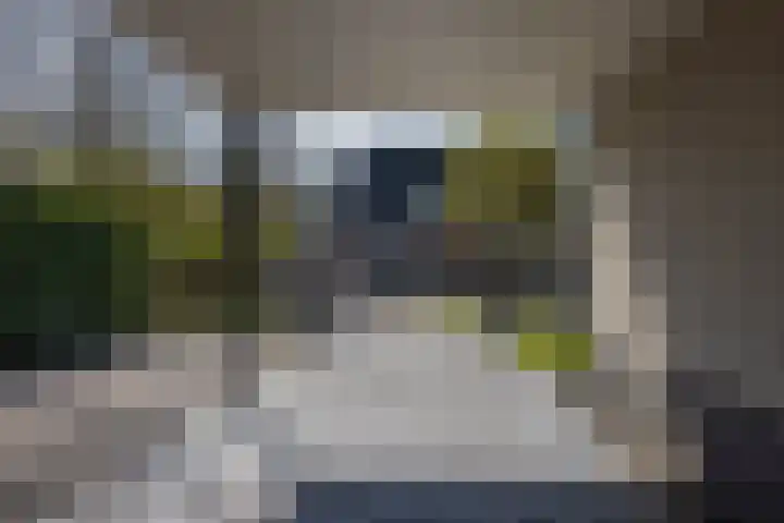 Kievit 23 Grootegast thumbnail 51