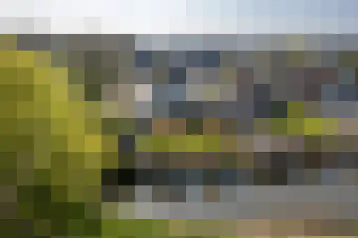 Kievit 23 Grootegast thumbnail 57