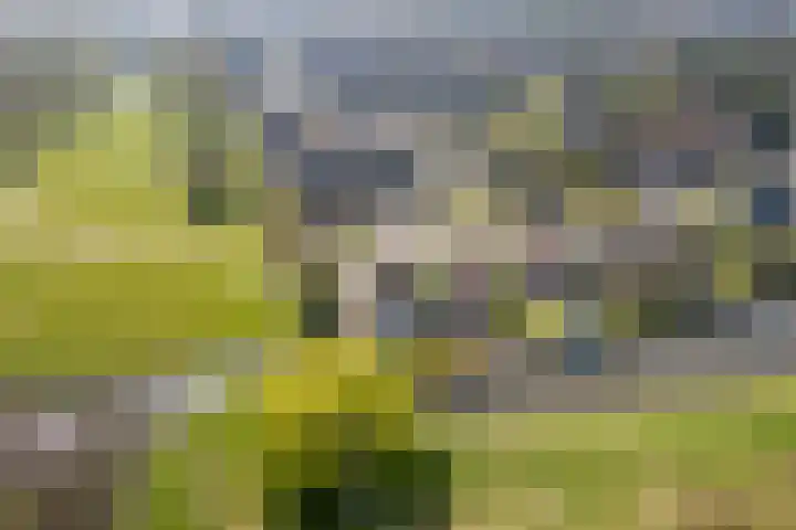 Kievit 23 Grootegast thumbnail 61
