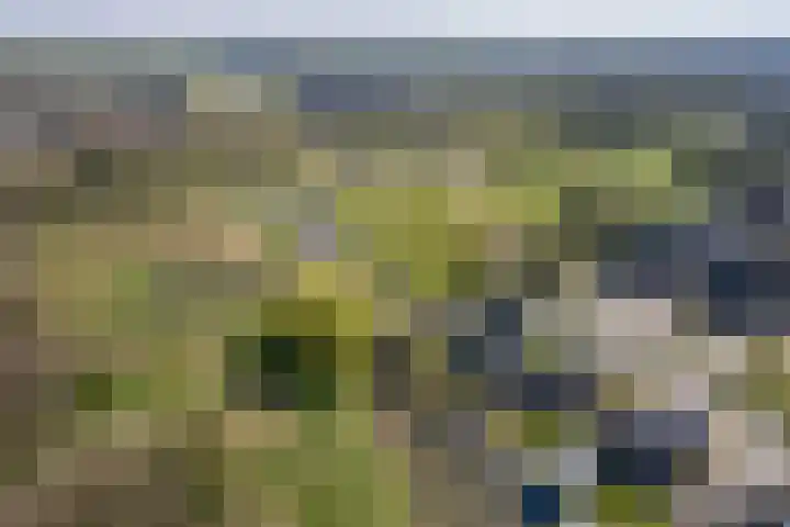 Kievit 23 Grootegast thumbnail 62
