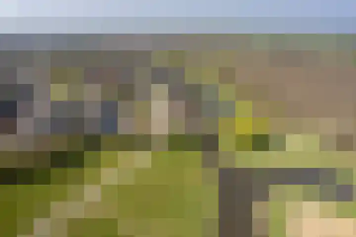 Kievit 23 Grootegast thumbnail 63