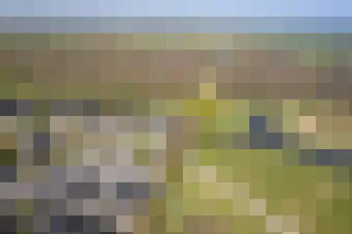Kievit 23 Grootegast thumbnail 64