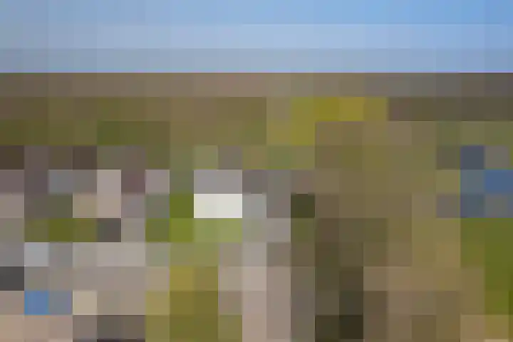 Kievit 23 Grootegast thumbnail 65
