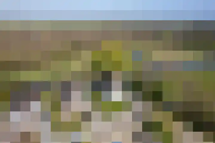 Kievit 23 Grootegast thumbnail 66