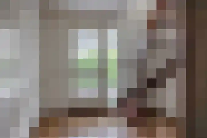 Kievit 23 Grootegast thumbnail 7