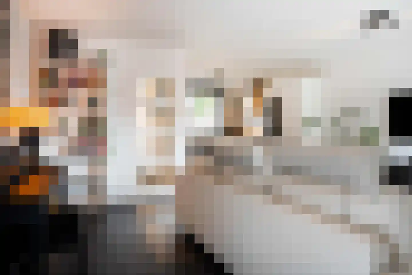 Kievit 24 Sprang-Capelle thumbnail 11