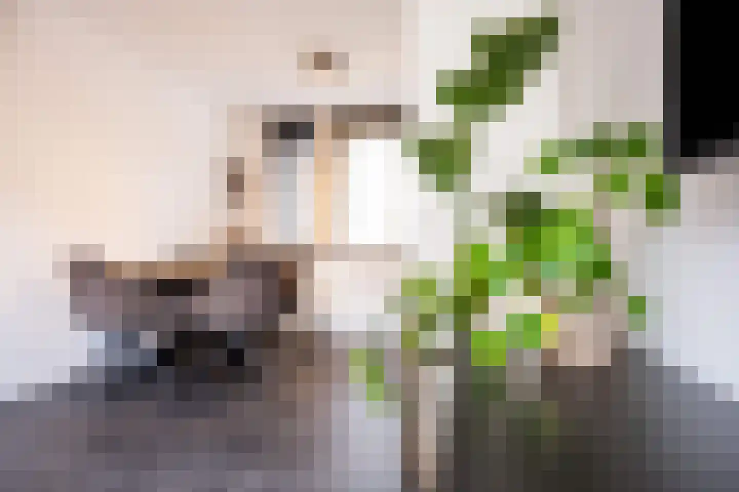 Kievit 24 Sprang-Capelle thumbnail 16