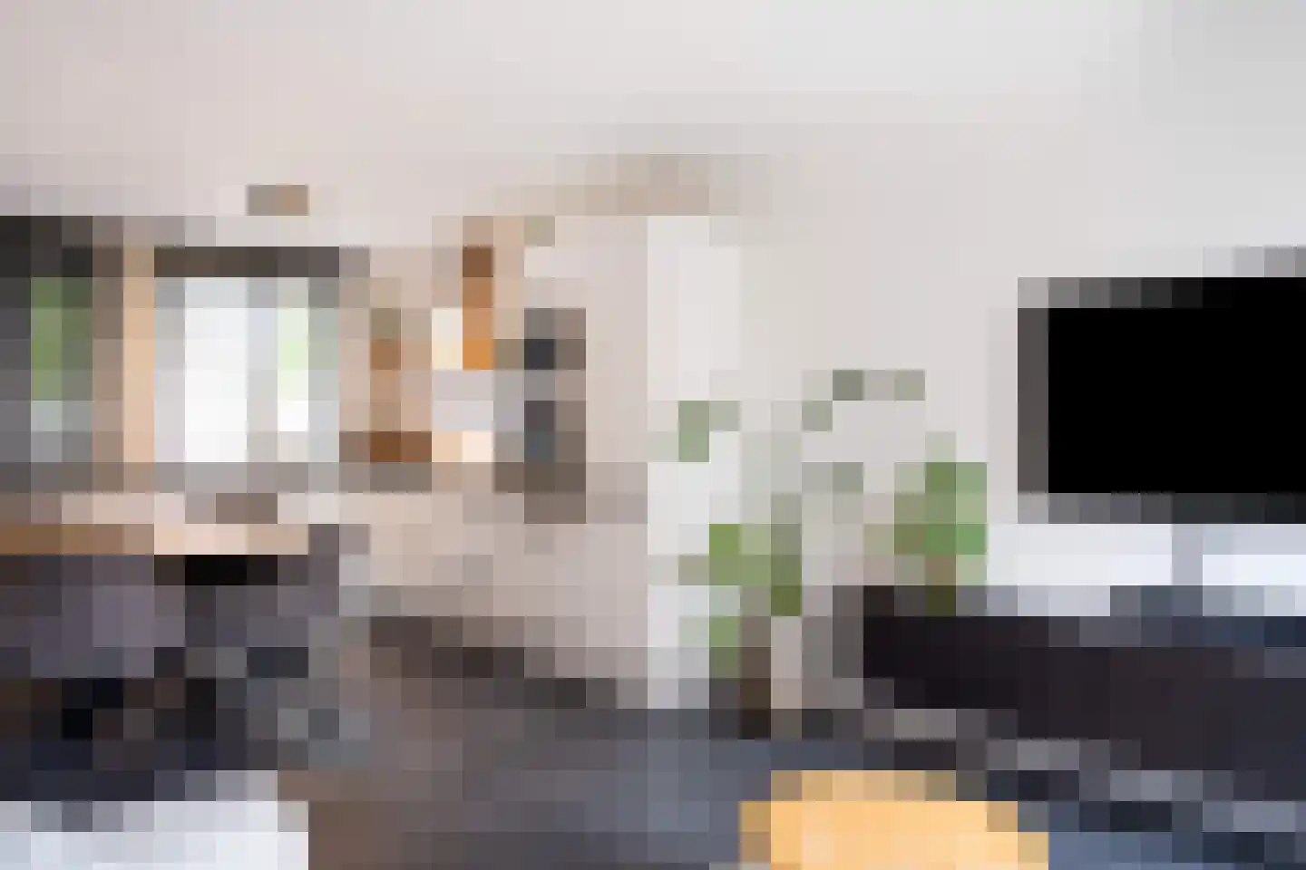 Kievit 24 Sprang-Capelle thumbnail 18