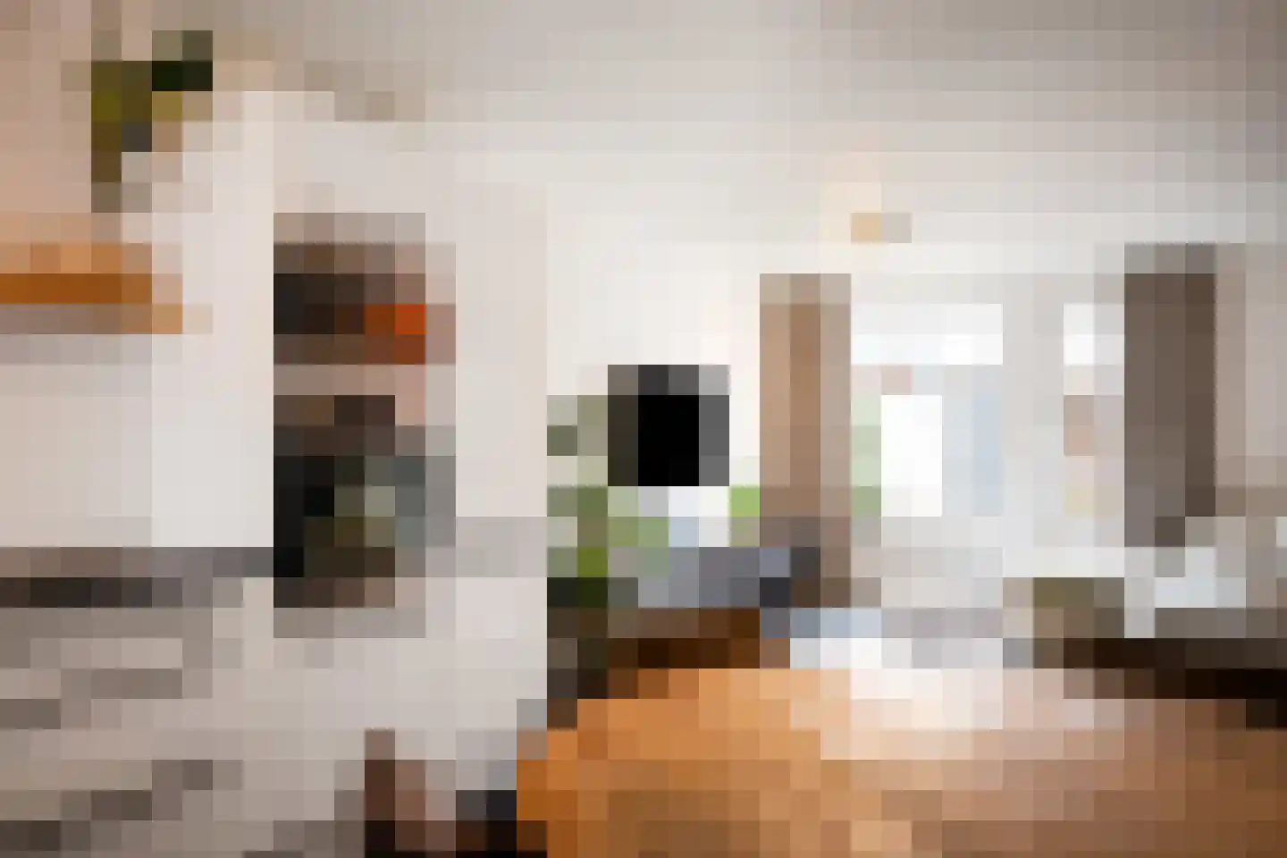Kievit 24 Sprang-Capelle thumbnail 22