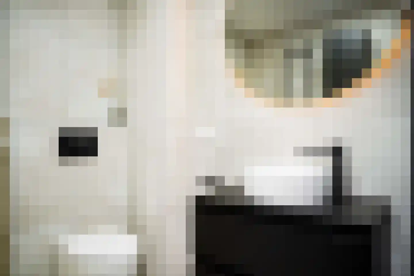 Kievit 24 Sprang-Capelle thumbnail 32