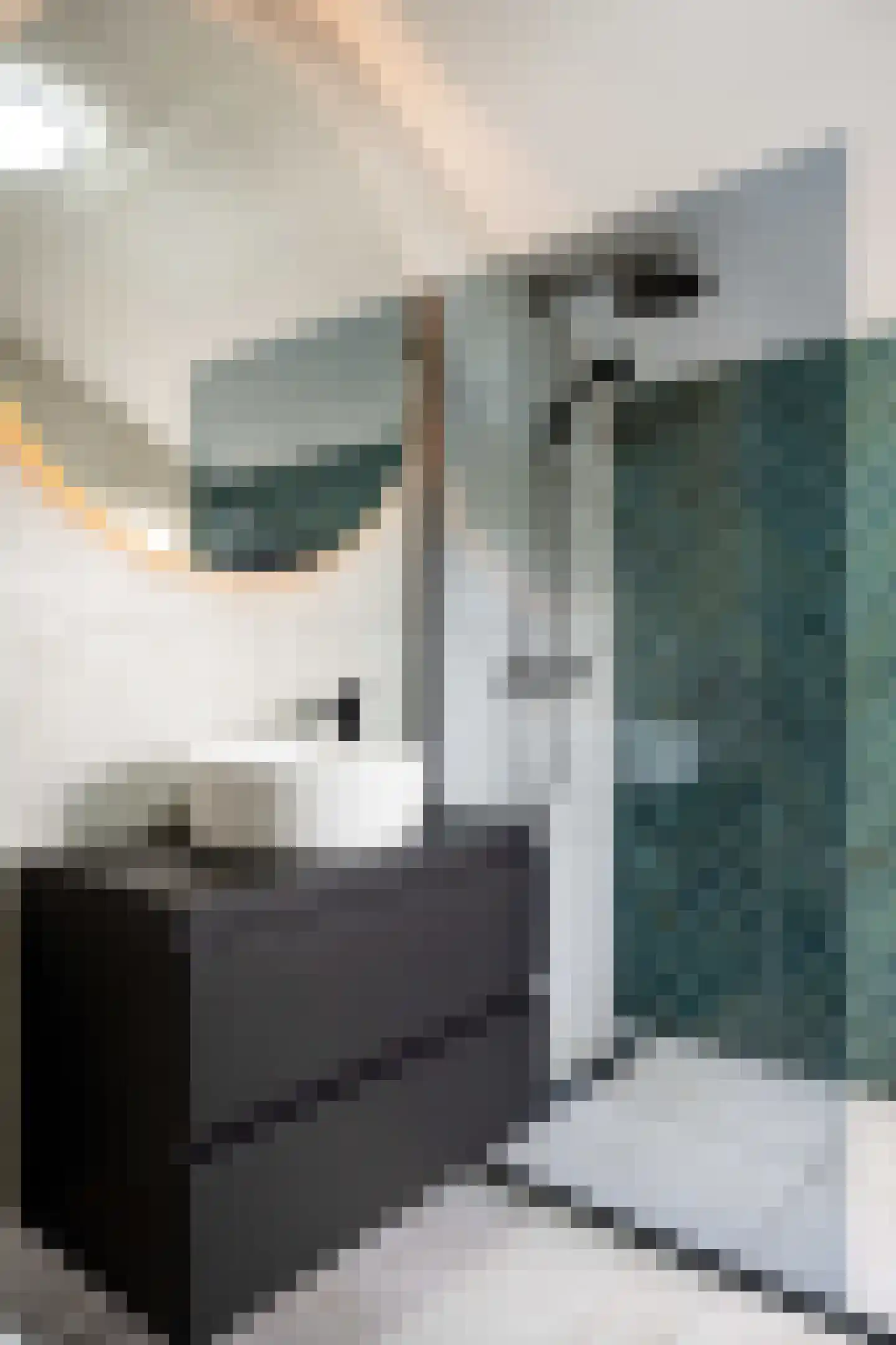 Kievit 24 Sprang-Capelle thumbnail 33