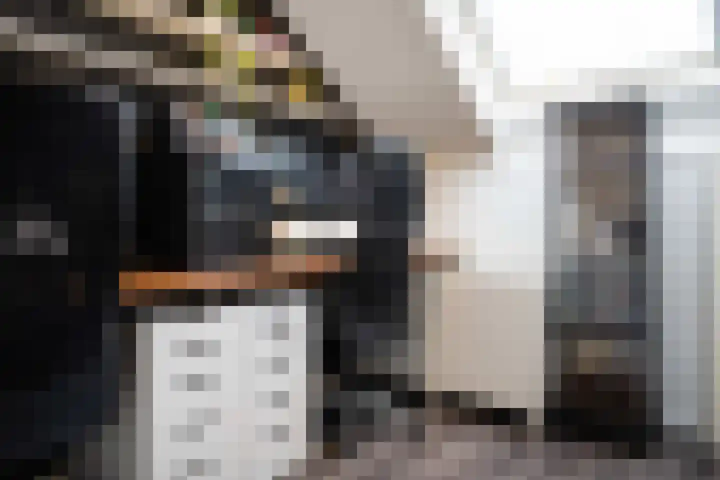 Kievit 24 Sprang-Capelle thumbnail 41
