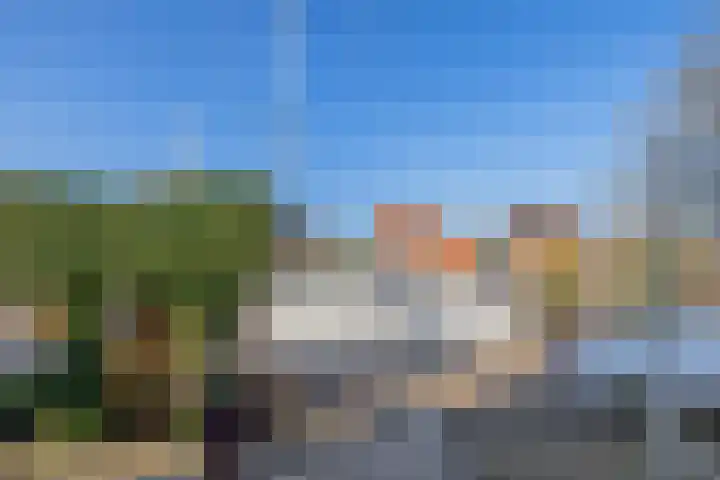 Kievit 25 Lemmer thumbnail 28