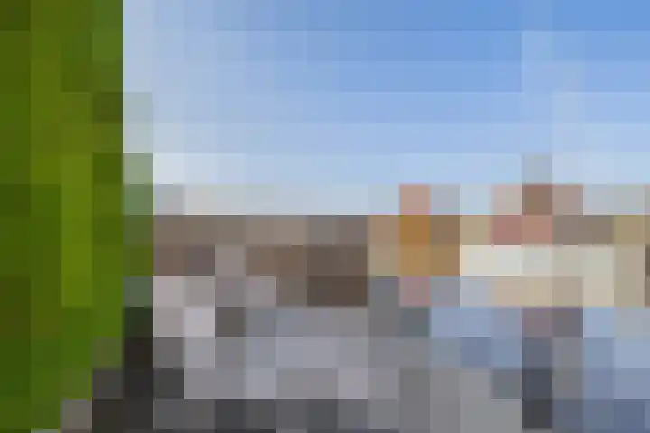 Kievit 25 Lemmer thumbnail 31