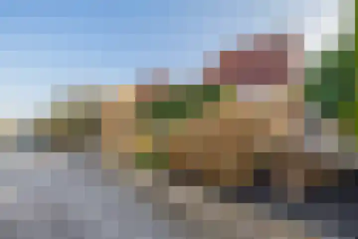 Kievit 25 Lemmer thumbnail 32