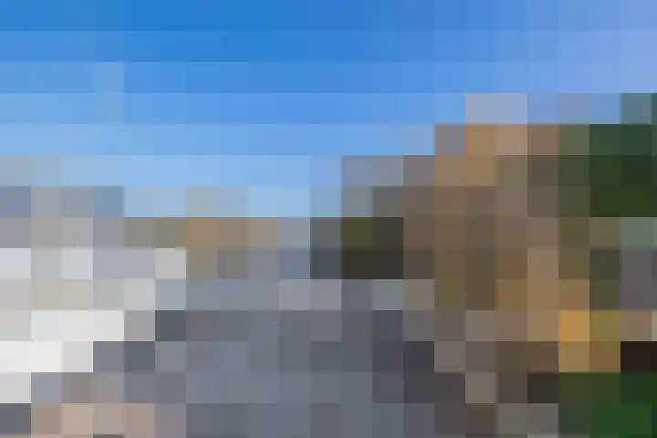 Kievit 25 Lemmer thumbnail 33