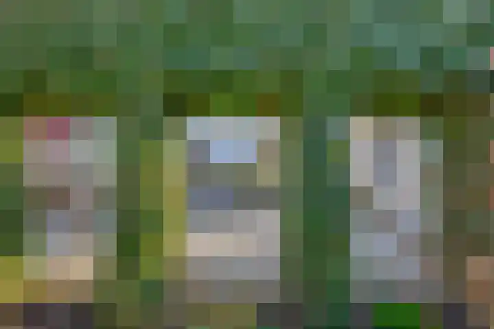 Kievit 25 Lemmer thumbnail 34