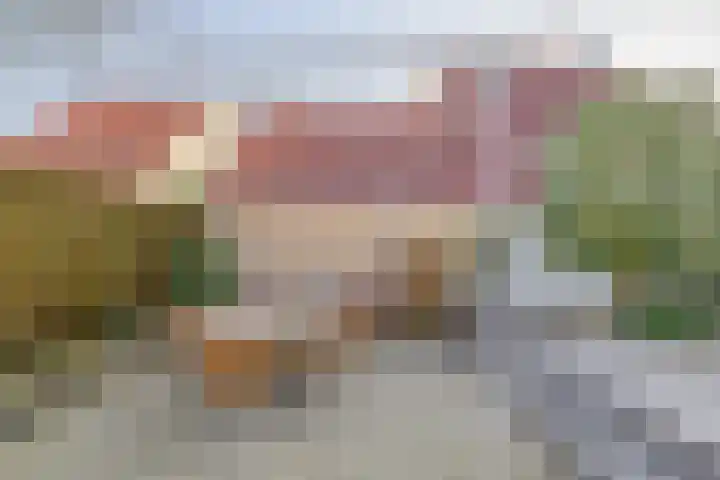 Kievit 25 Lemmer thumbnail 36