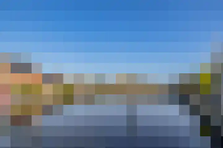 Kievit 25 Lemmer thumbnail 37