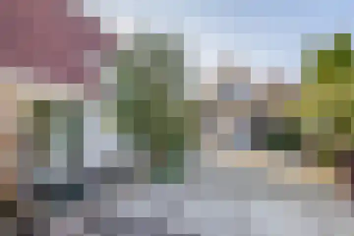 Kievit 25 Lemmer thumbnail 38