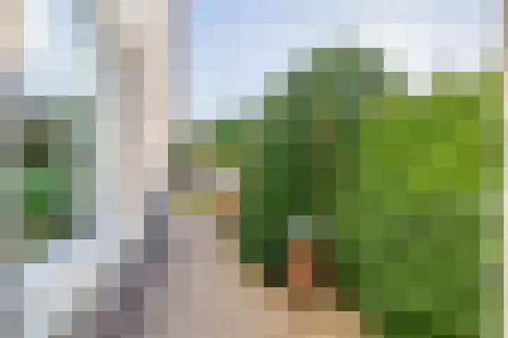Kievit 25 Lemmer thumbnail 39