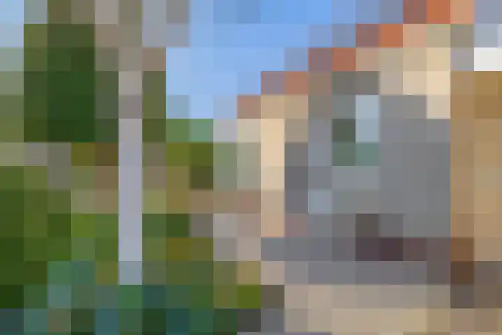 Kievit 25 Lemmer thumbnail 4