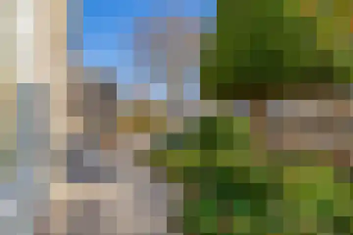 Kievit 25 Lemmer thumbnail 40