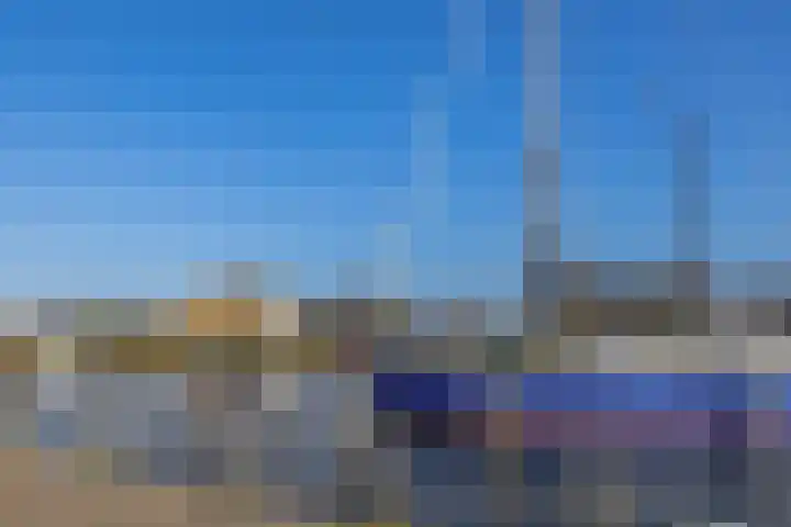 Kievit 25 Lemmer thumbnail 58