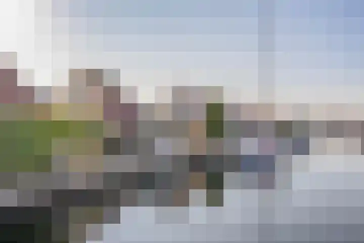 Kievit 25 Lemmer thumbnail 60