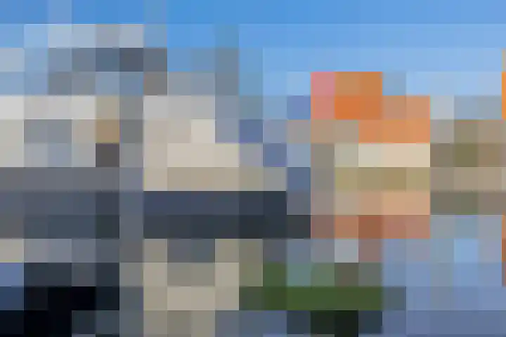 Kievit 25 Lemmer thumbnail 64