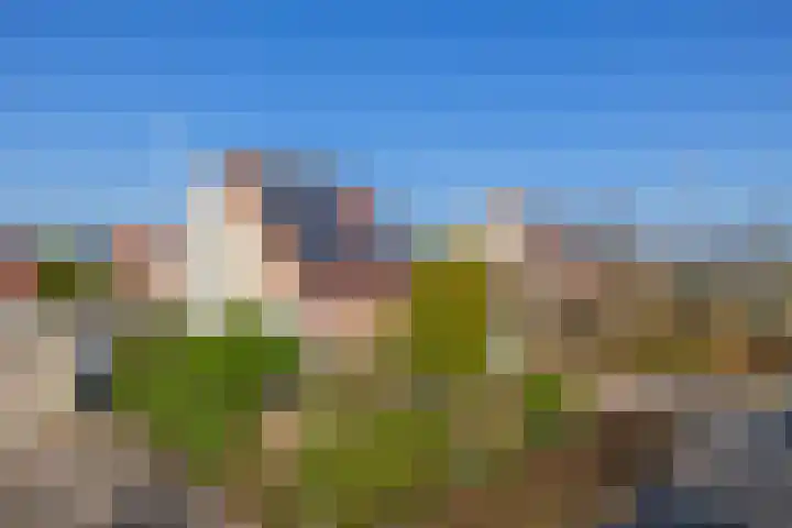 Kievit 25 Lemmer thumbnail 66