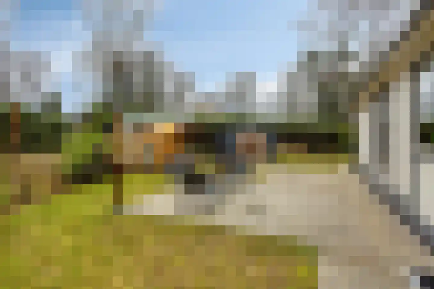 Kievit 253 Baarle-Nassau thumbnail 21