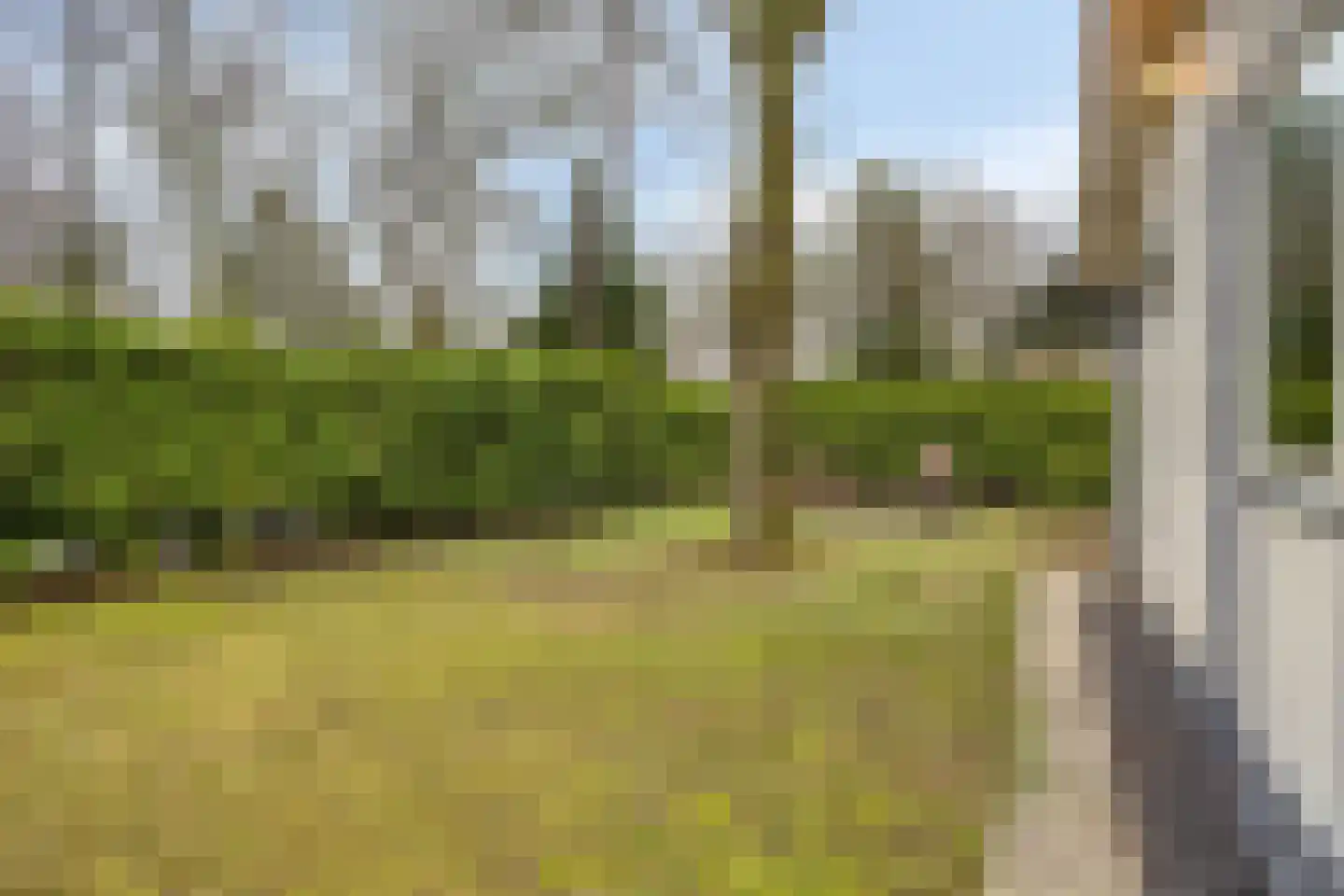 Kievit 253 Baarle-Nassau thumbnail 22