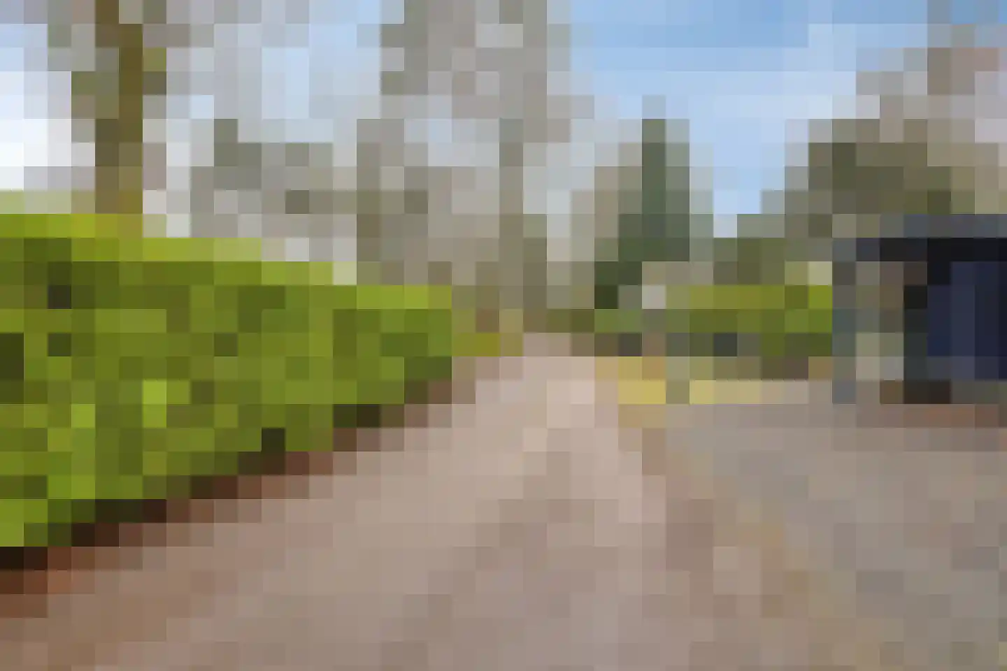 Kievit 253 Baarle-Nassau thumbnail 24