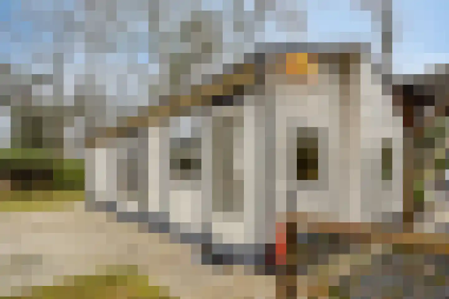 Kievit 253 Baarle-Nassau thumbnail 4