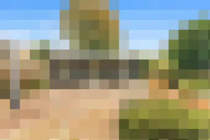 Kievit 26 Castricum thumbnail 52